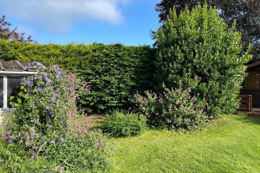 3 Bed Bungalow In Winchcombe, Cotswolds,Gloucester Exteriör bild